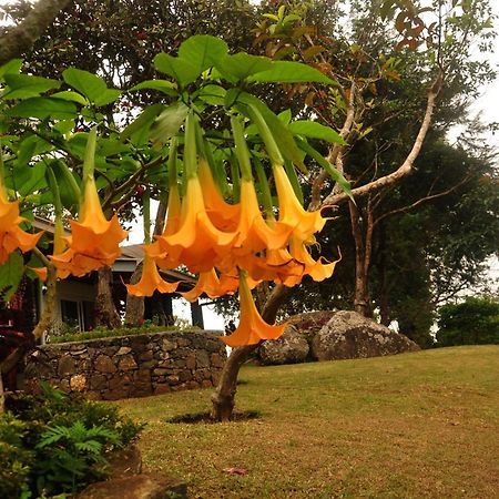 Clouds Holiday Bungalow Haputale Exterior foto